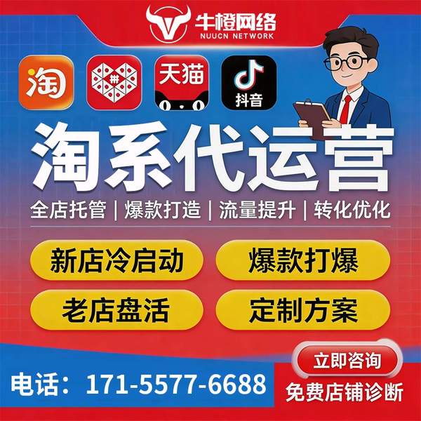 宁安电商代运营