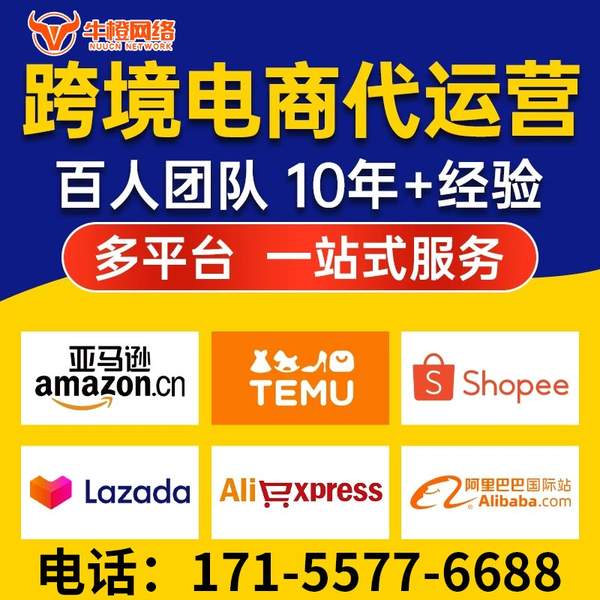 宁安电商代运营