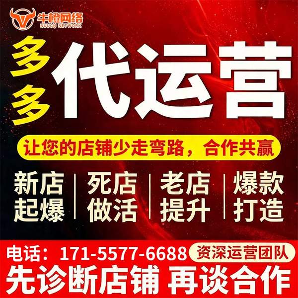 宁安电商代运营
