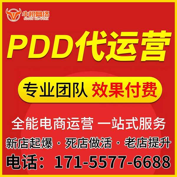宁安电商代运营