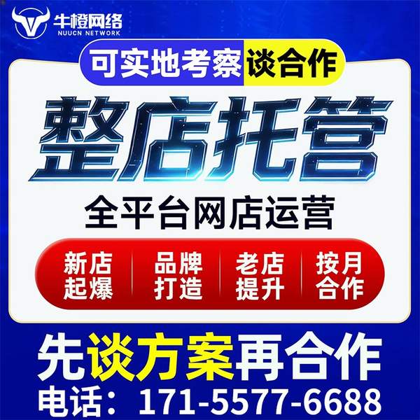 宁安电商代运营