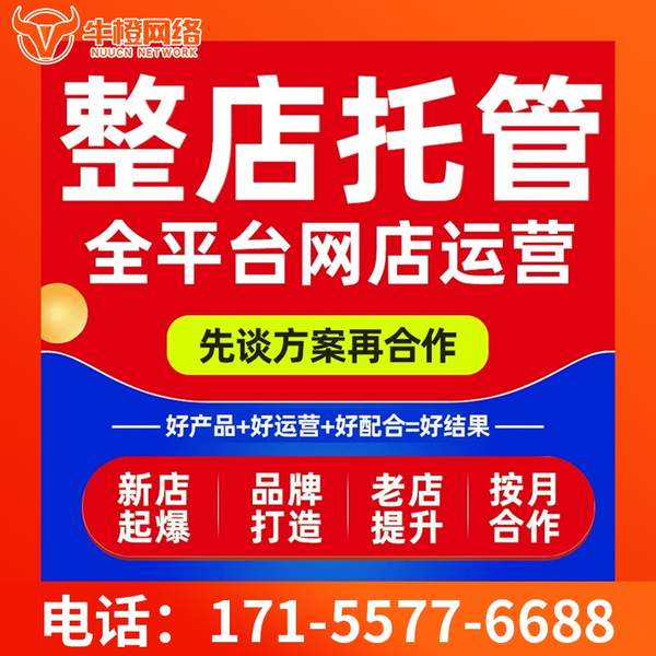 宁安电商代运营