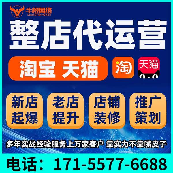 宁安电商代运营