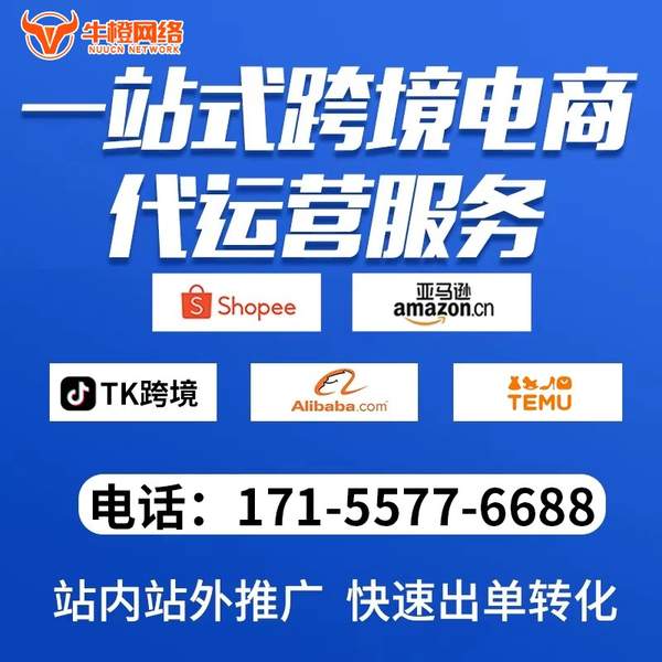 宁安电商代运营