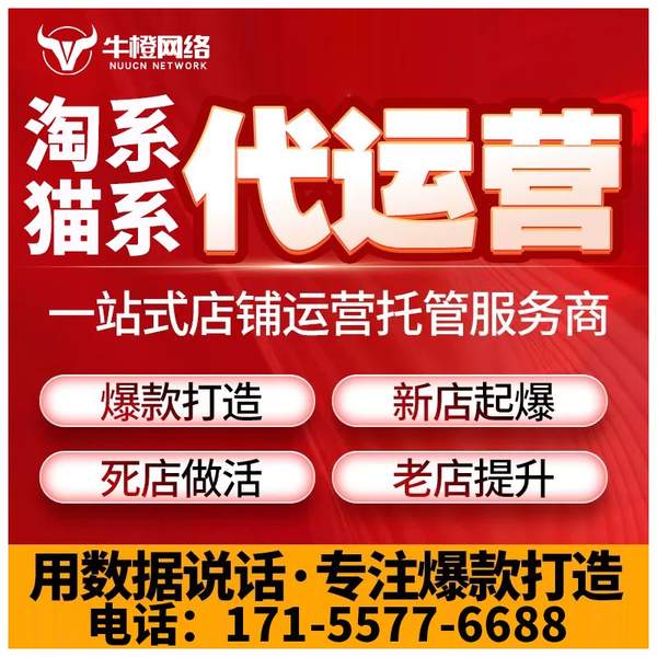 宁安电商代运营